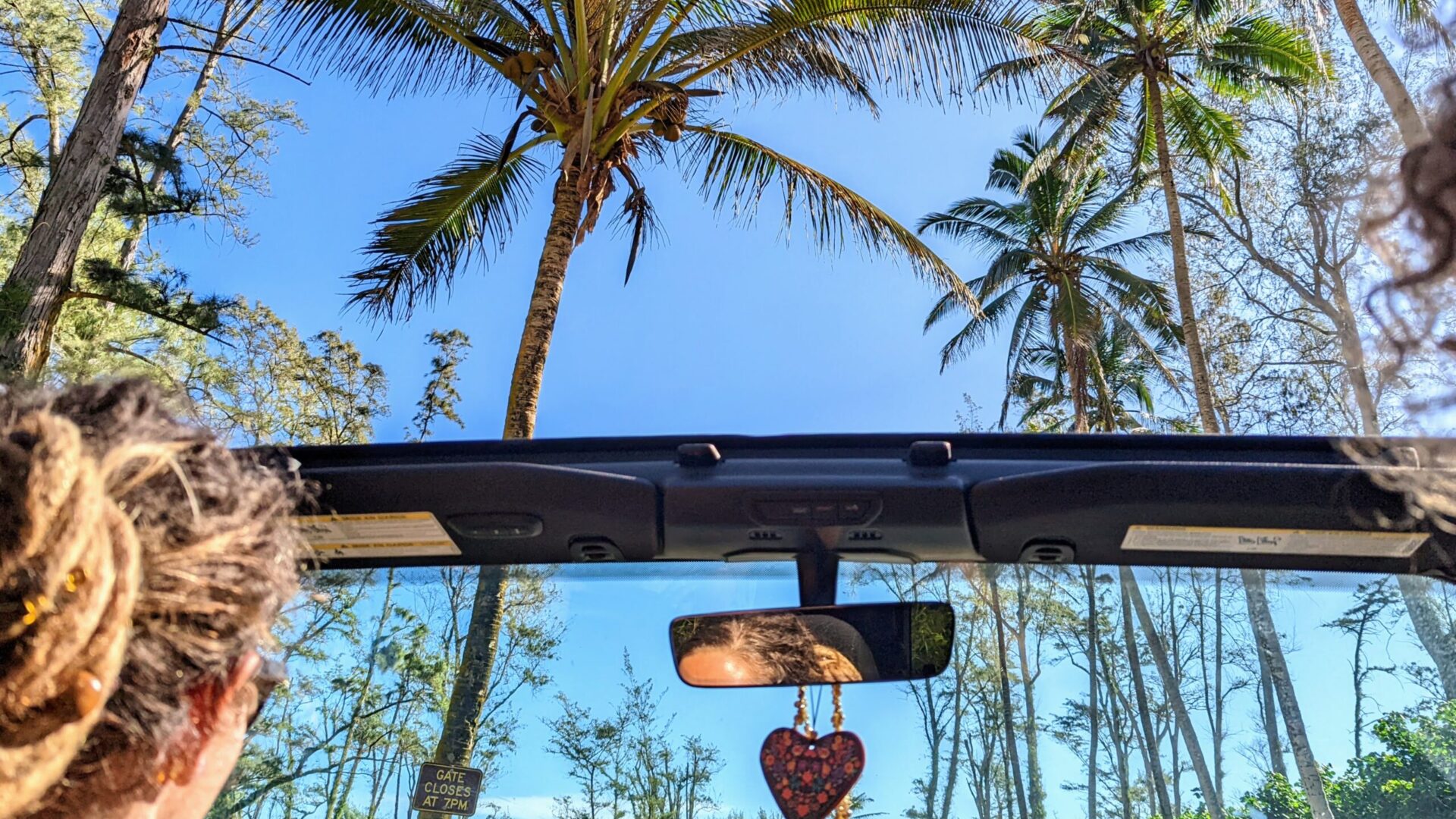 View from inside a Jeep driving under tall palm trees near the beach on Oʻahu’s North Shore, with blue skies and tropical scenery